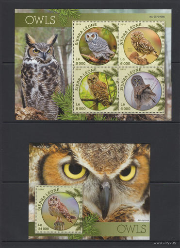 Сьерра Леоне 2016** Хищные Птицы Совы