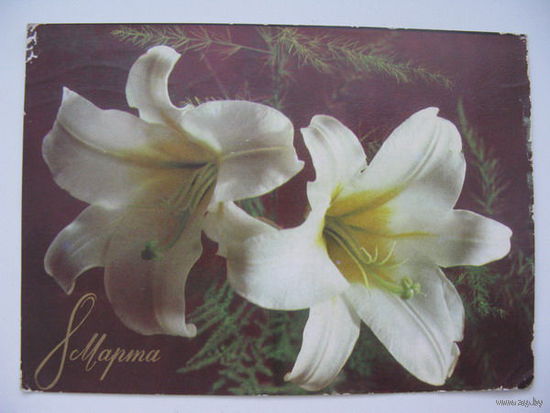 8 Марта-.1971