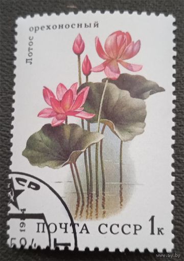 Лот 238 CCCР (1984) Водные растения. Лотос орехоносный SU5381 СТО