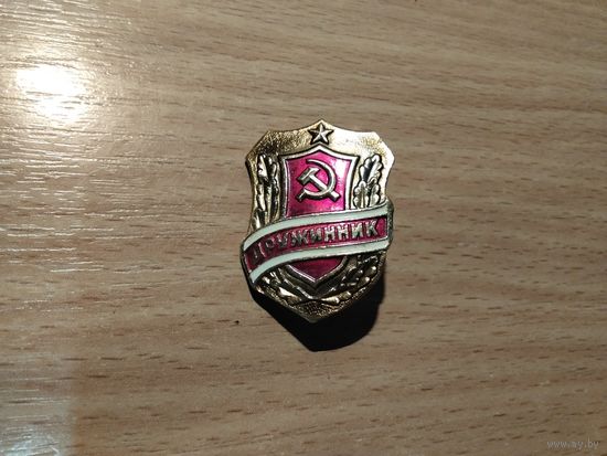 Дружинник