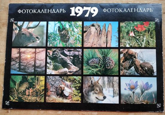 Настенный художественный календарь. 1979 г. СССР. Большой формат.