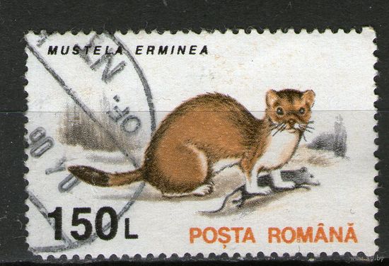 Румыния. Михель- 4909. Гашеная.