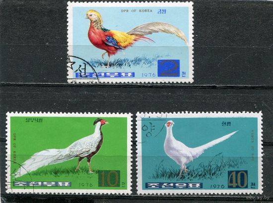 КНДР. Фауна. Фазан