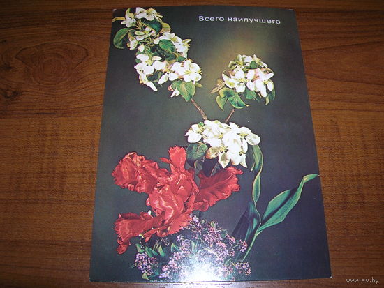 Цветы Композиция Всего наилучшего Польша 1970-80е чистая