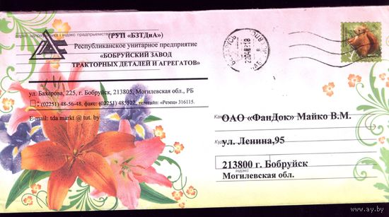 2008 год Цветы