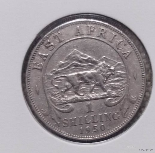 Британская Восточная Африка 1 шиллинг, 1950