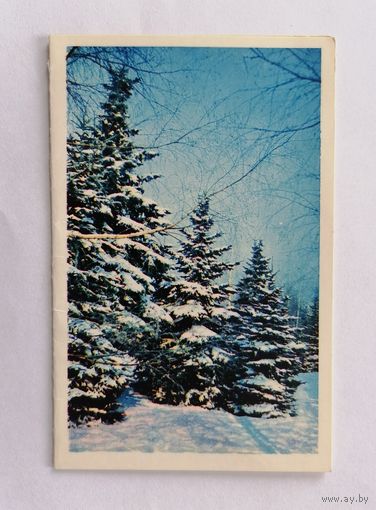 Открытка из СССР, 1971г, подписанная.