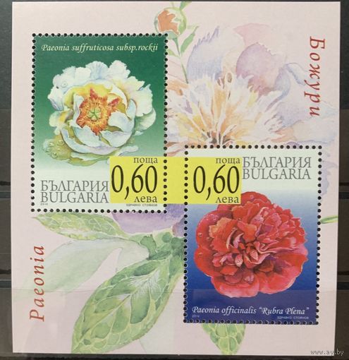 Болгария 2010. Флора. Пион блок (4937)