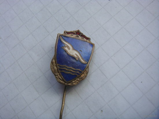 Членский знак Буревестник