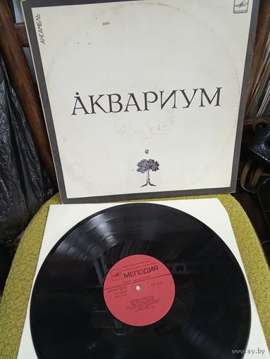 Аквариум