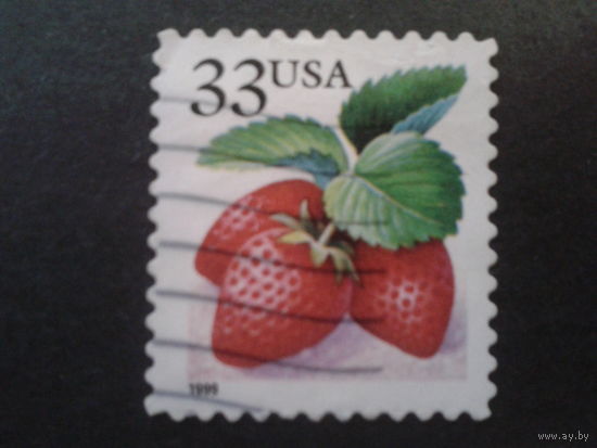 США 1999 стандарт, клубника