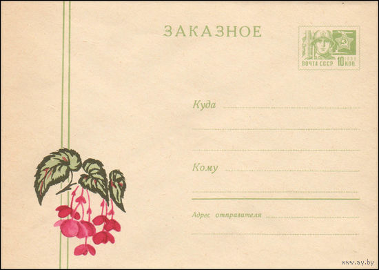 Художественный маркированный конверт СССР N 5336 (1967) Заказное  [Рисунок цветов бегонии]