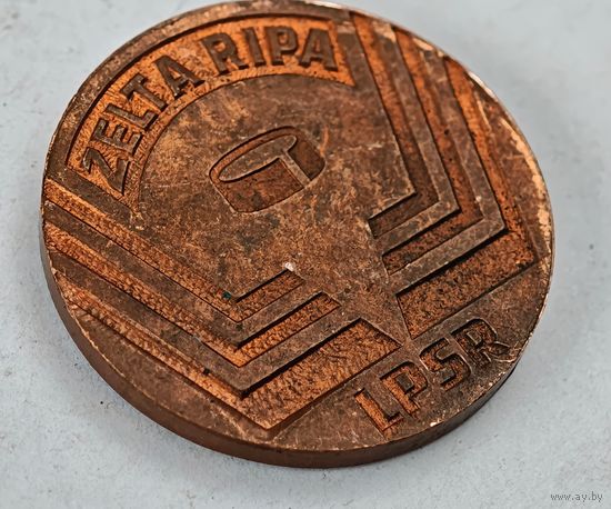 Медаль хоккей