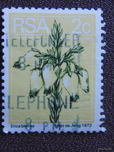 ЮАР 1973 г. Цветы.
