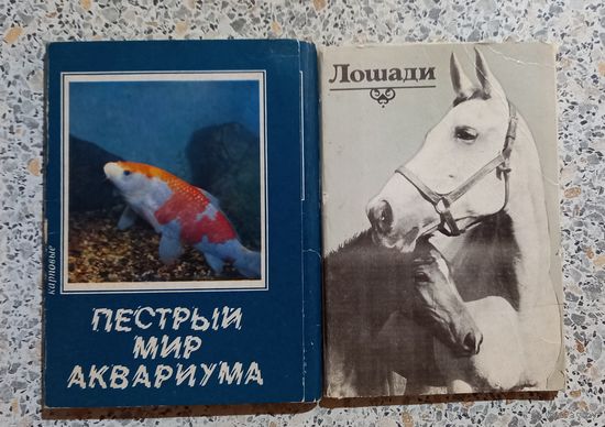 Фотооткрытки.Лошади.Пестрый мир аквариума.