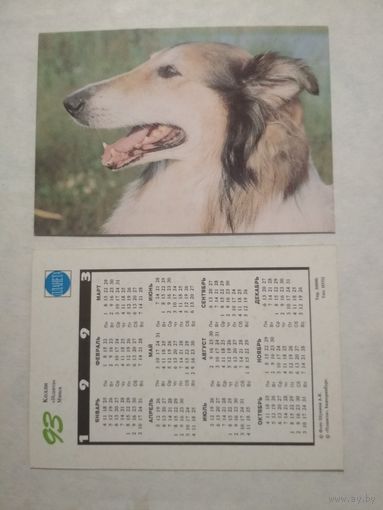 Карманный календарик. Собака.1993 год