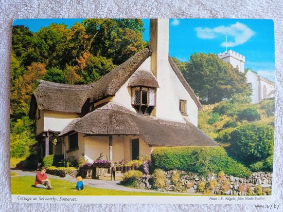 Англия, Селворти (Самерсет)