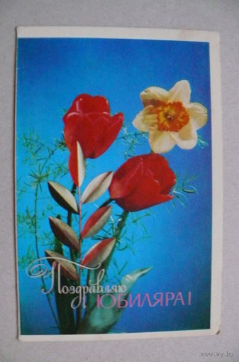 Лисейцкий В., Поздравляю юбиляра! 1974, двойная, подписана.