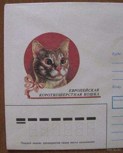 Европейская кошка, фауна, конверт ХК СССР 1990 г. .