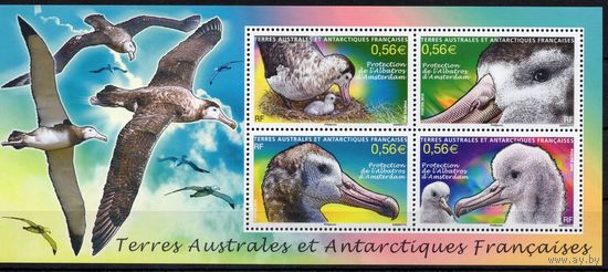 Французские Антарктические территории  2010. Птицы блок (724)