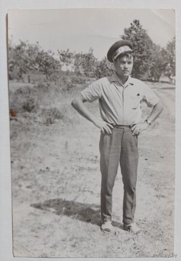 Фото в коллекцию