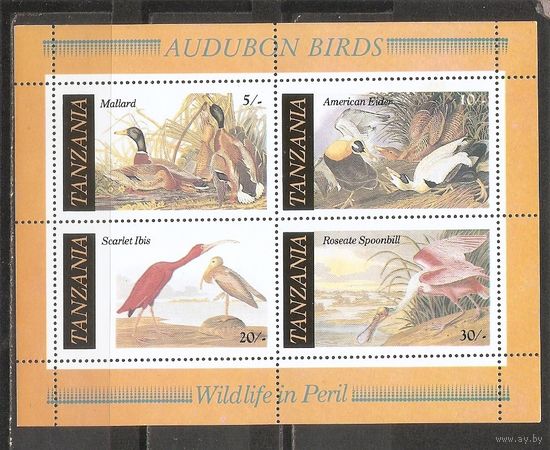 ФФ3 Танзания Птицы