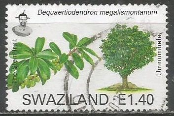 Свазиленд. Деревья. Саквойя вечнозелёная. 2007г. St#784.