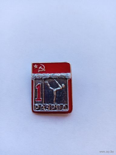 1 разряд. Спортивная гимнастика. Накладной.