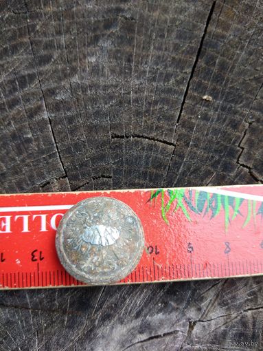 Орлик. Польша (26). Находка