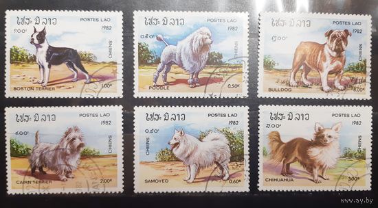 Лаос. 1982 год. Фауна. Собаки (576)