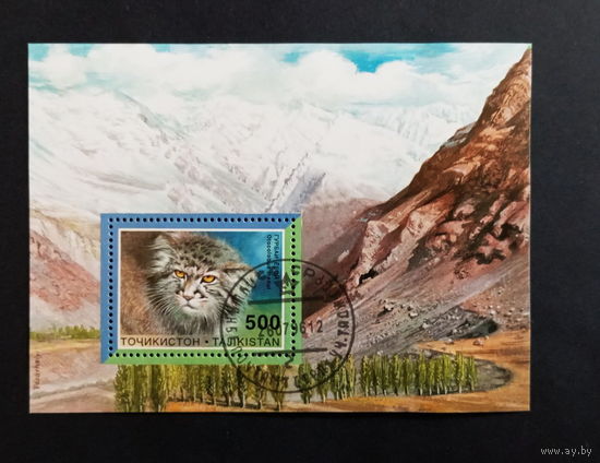 Таджикистан 1996,  Фауна. Дикие кошки. Манул.