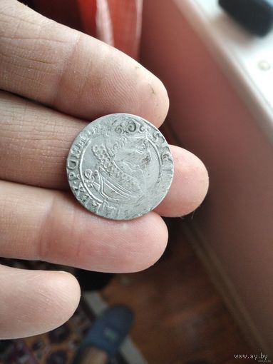 6 грошей 1626 года бычек