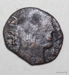 Боратинка фальш 6