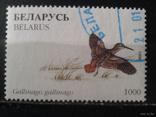 1996 Утка, марка из блока