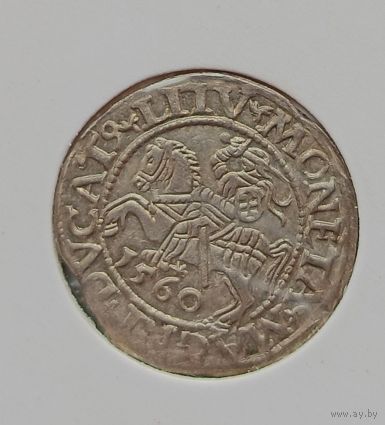 Полугрош 1560