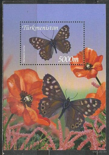 Туркменистан. Бабочки. 2002г. Mi#Бл21.