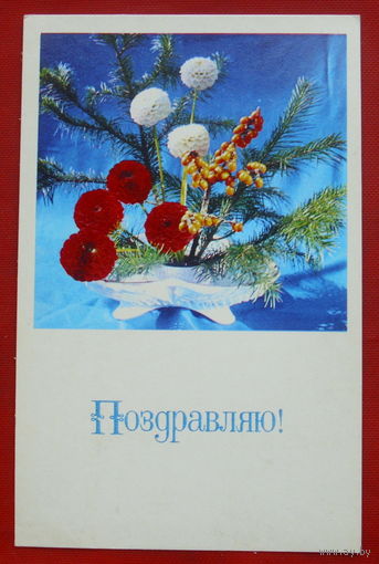Поздравляю! Чистая. Чистая. 1975 года. Фото Игнатович. 3.