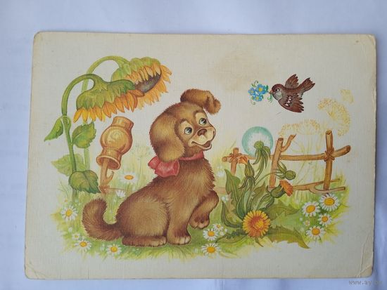 Юрасова. Без названия