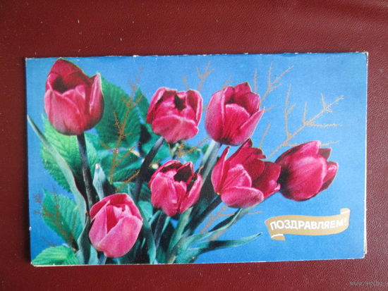 Почтовая карточка.СССР.1983г.Чистая.