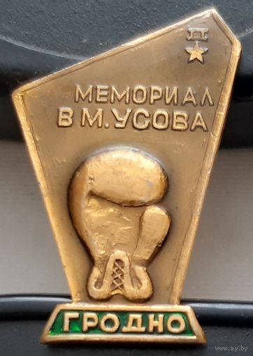 Бокс. Мемориал В.М. Усова. Гродно. Ап-20