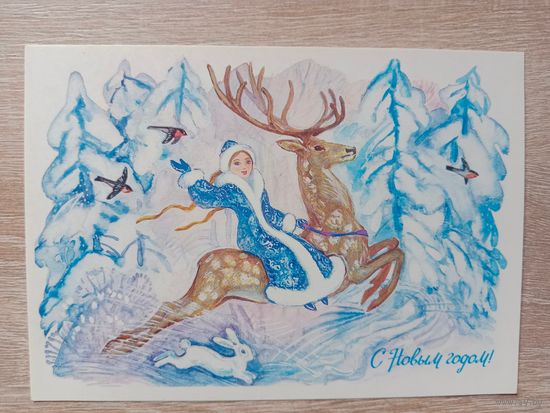 Сорокина 1988 чистая