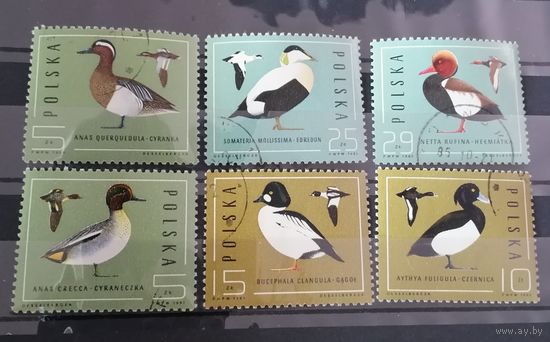 Польша 1985 птицы