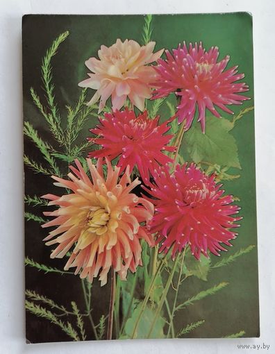 Открытка из СССР 1988г, подписанная.
