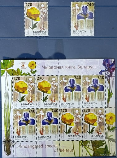 Беларусь 2003  Красная книга.Цветы
