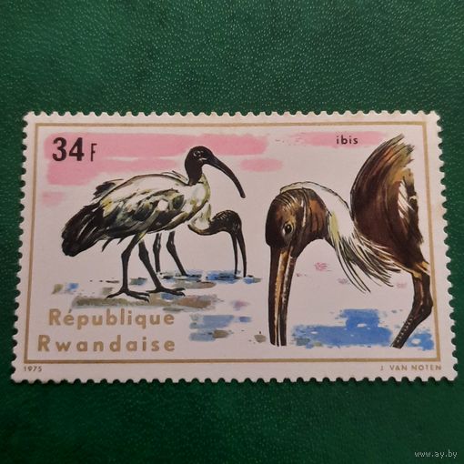 Руанда 1975. Фауна. Птицы. Ибис