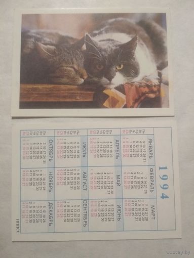 Карманный календарик. Котик.1994 год