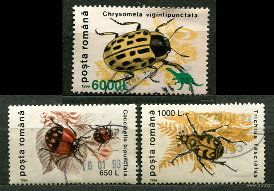 Насекомые. Жуки. Румыния. 1996. Серия 3 марки