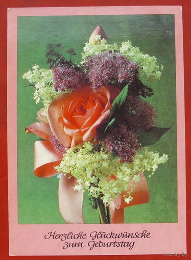 ГДР. Цветы. Роза. Чистая. 942.