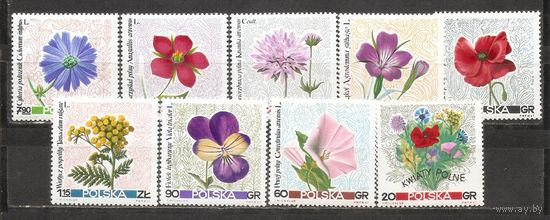 ФФ1 Польша 1967 Цветы