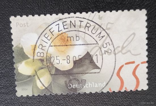 Лот 287 Германия (2004) Камелия яннаненсии DE 2293